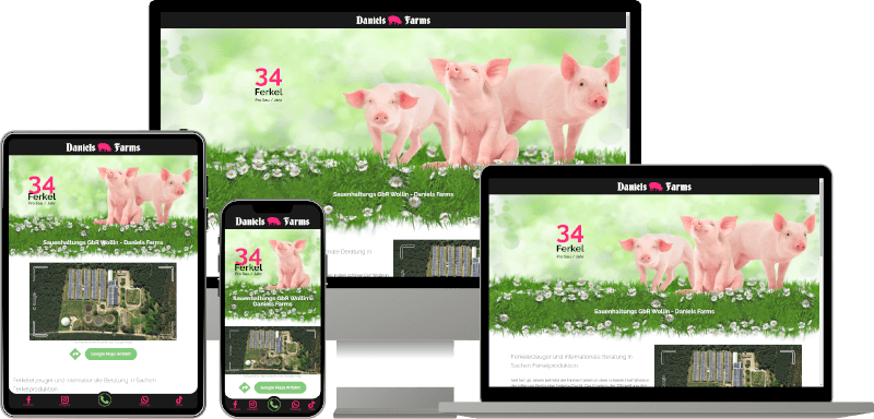 Devices mockup with screenshots of daniels-farms.de website